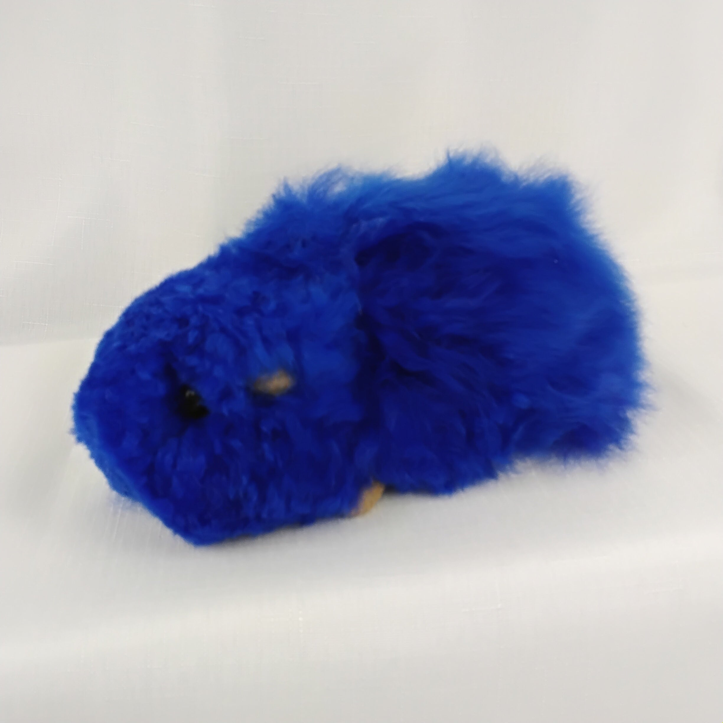 Medium Guinea Pig Stuffed Animal Alpaca Fluff Dyed Assorted Colors