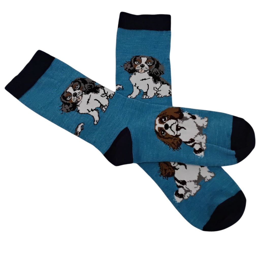 Cavalier King Charles Spaniel Socks