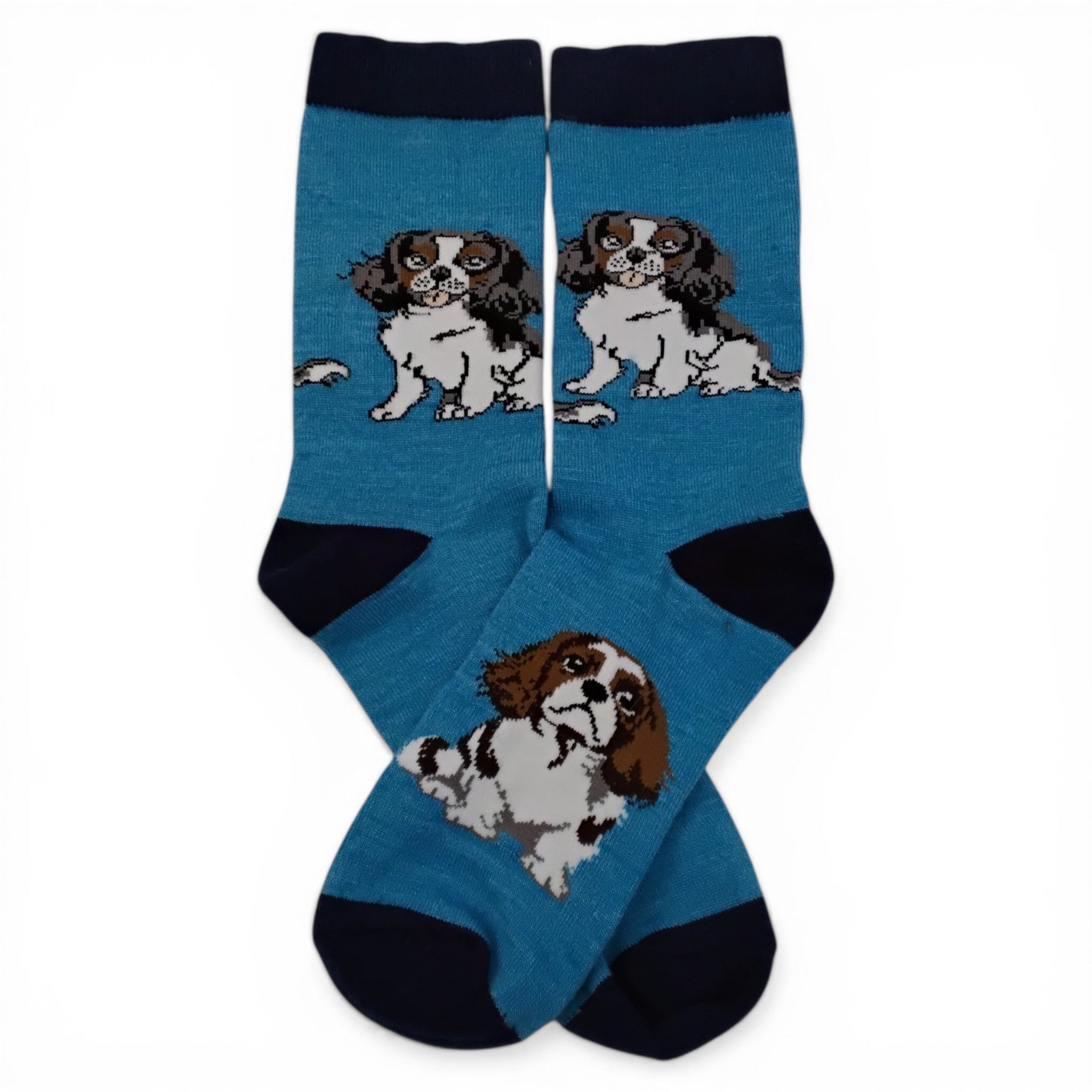 King Charles Cavalier Socks