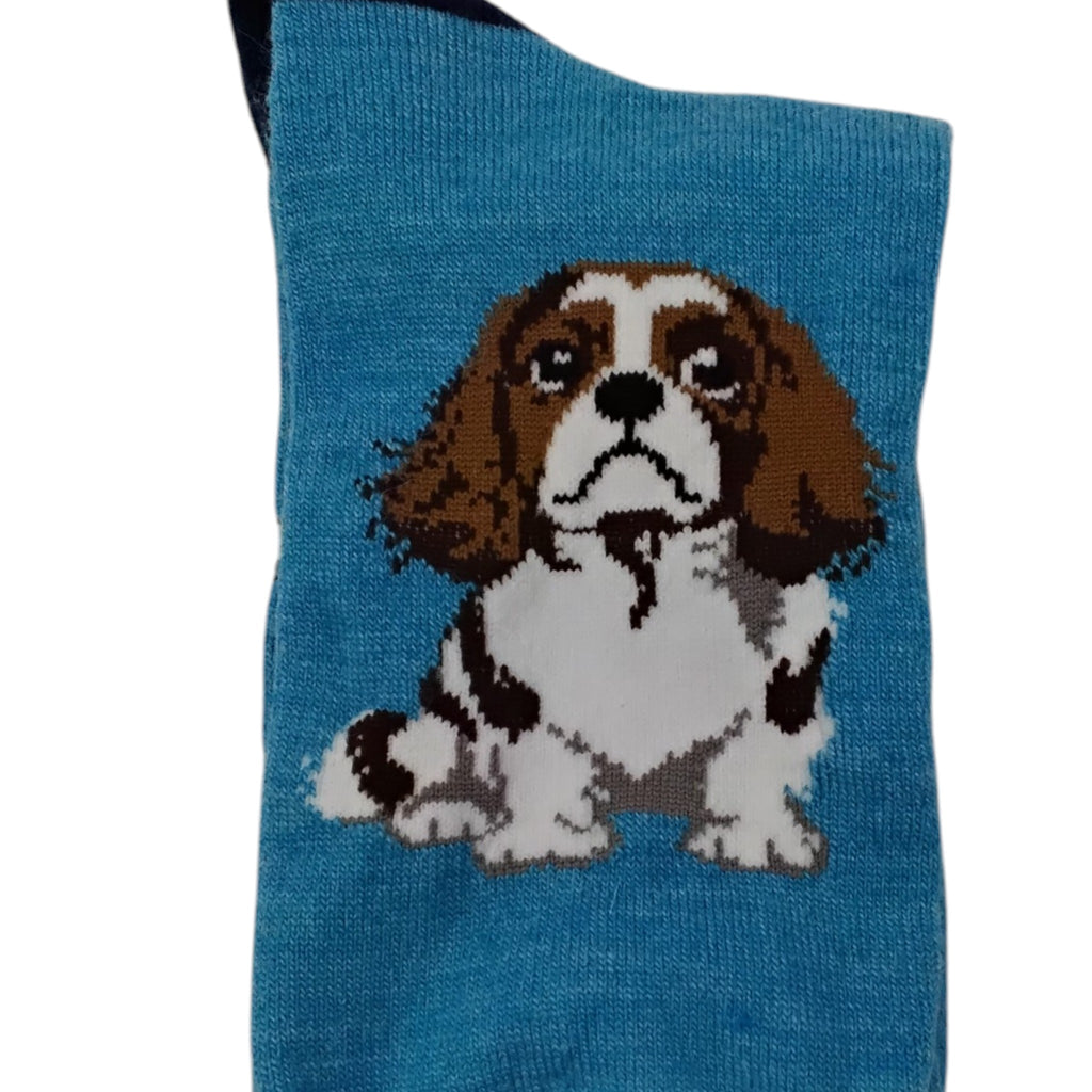 Cavalier King Charles Spaniel Socks