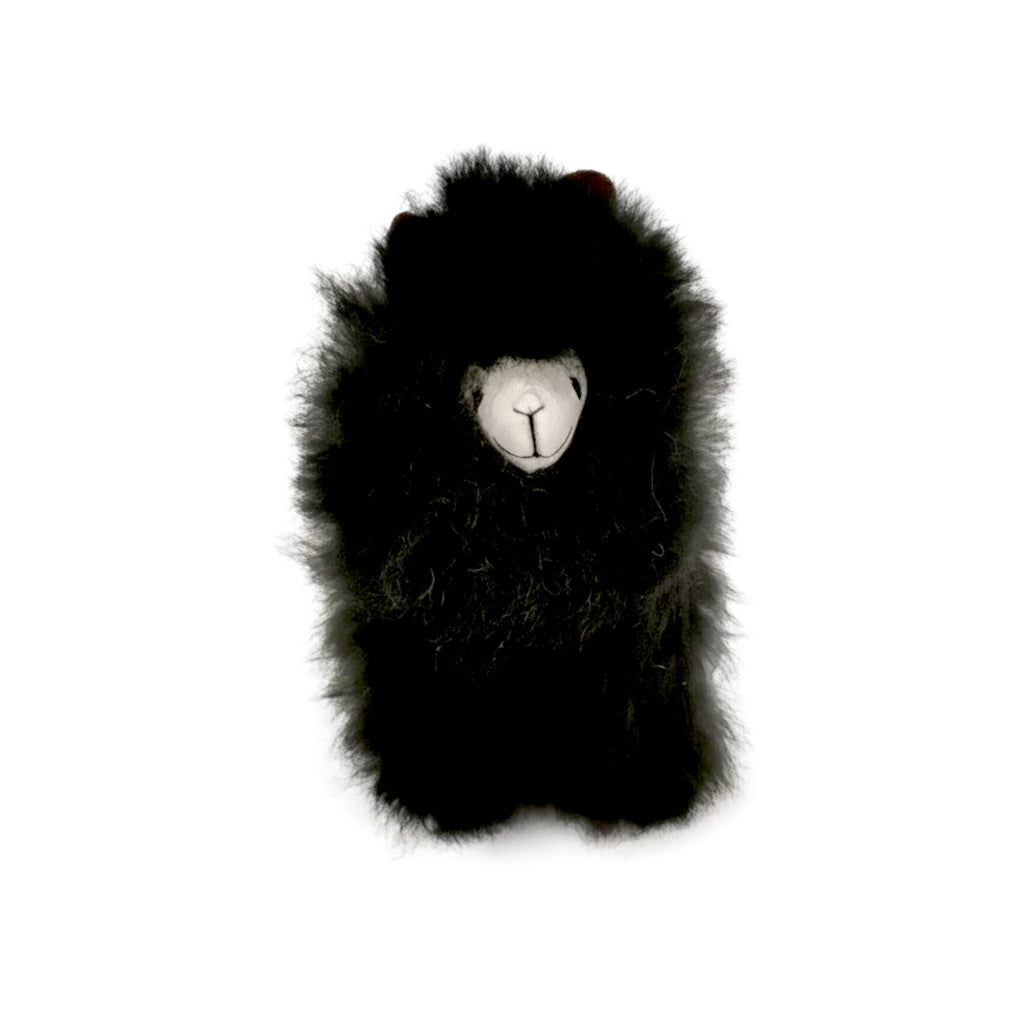 Fluffy Alpaca Toy with Child Safe Sewn-On Eyes, in Fun Colors!