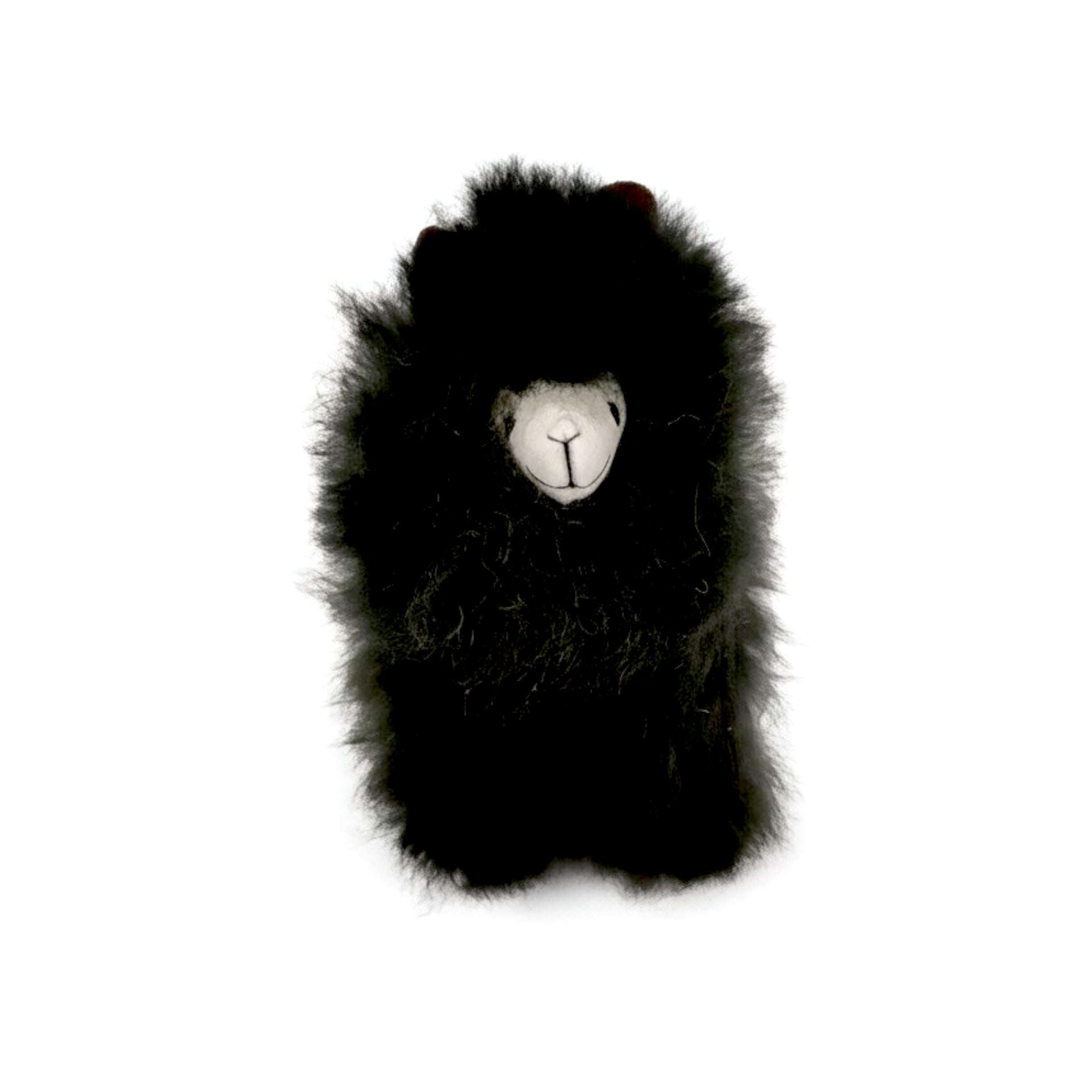 Fluffy Alpaca Toy with Child Safe Sewn-On Eyes, in Fun Colors!