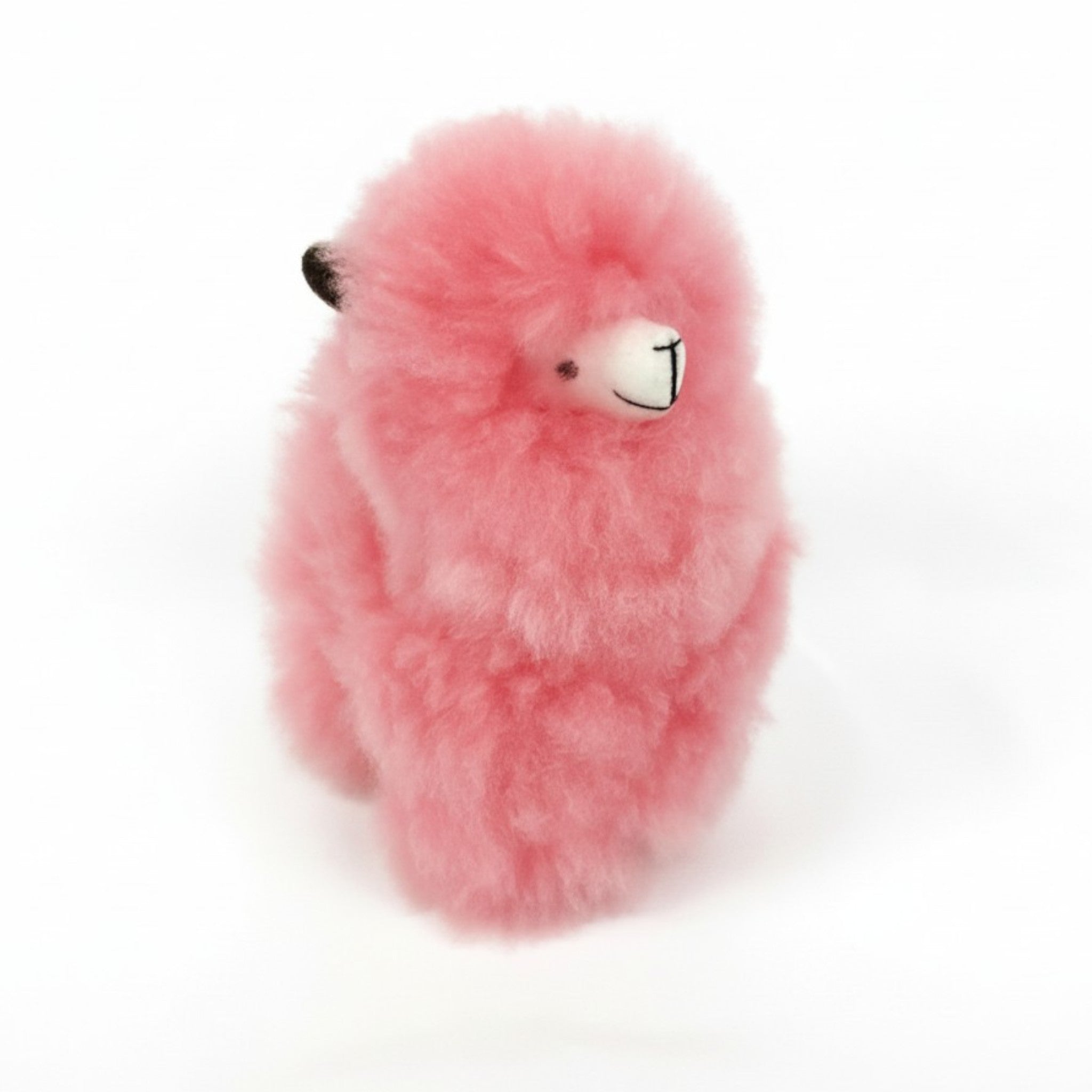 Fluffy Alpaca Toy with Child Safe Sewn-On Eyes, in Fun Colors!