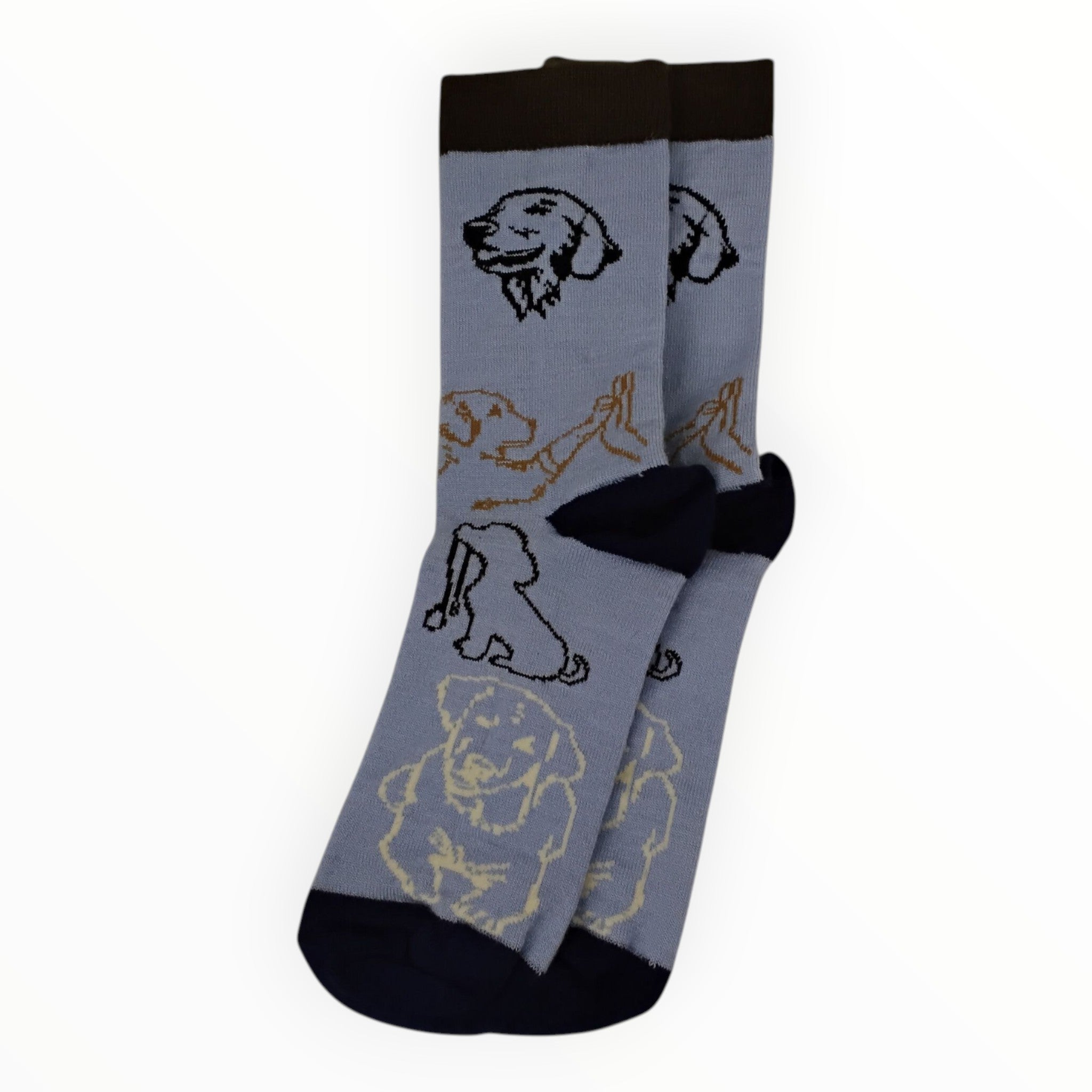 Alpaca Socks with Labrador Retriever Dogs