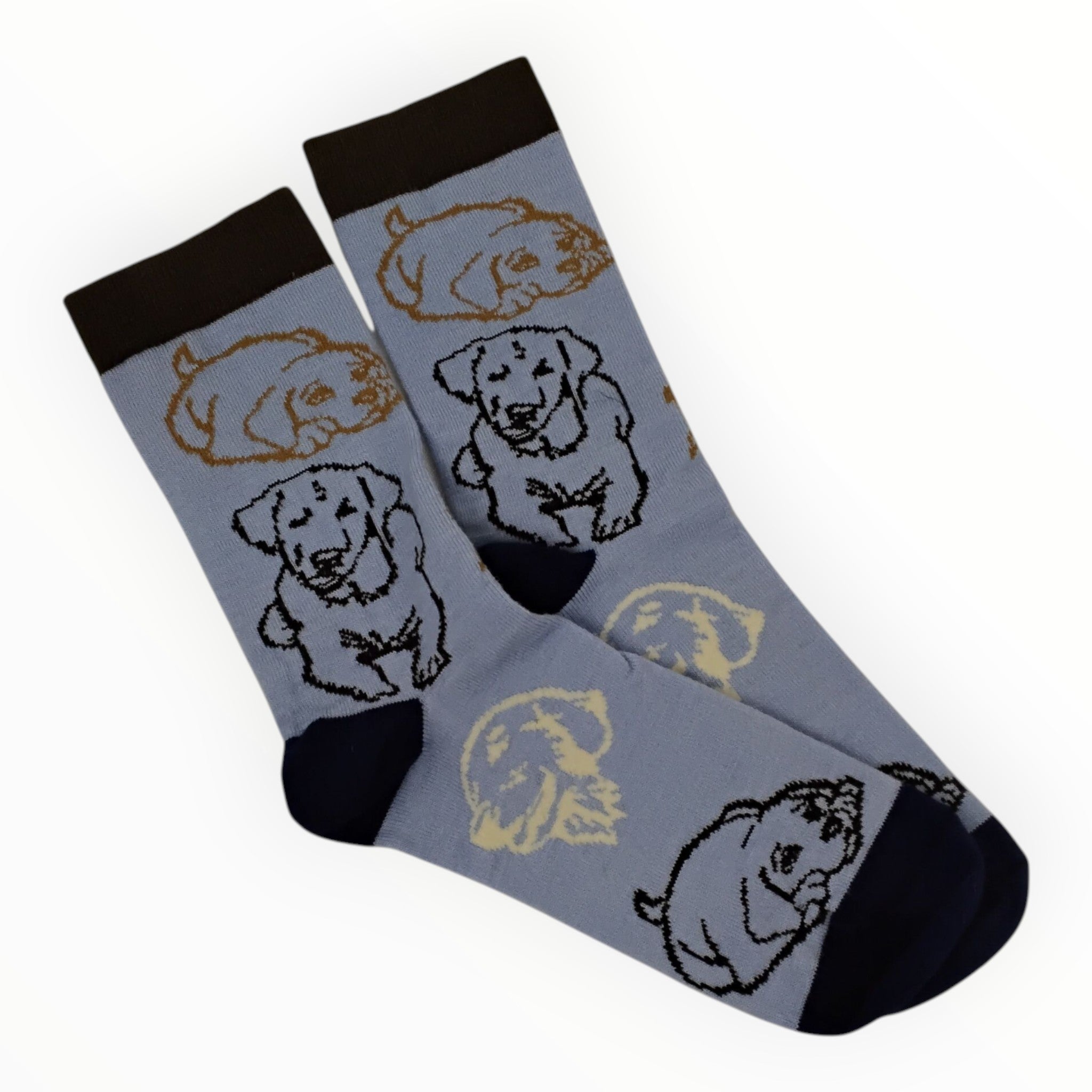 Alpaca Socks with Labrador Retriever Dogs