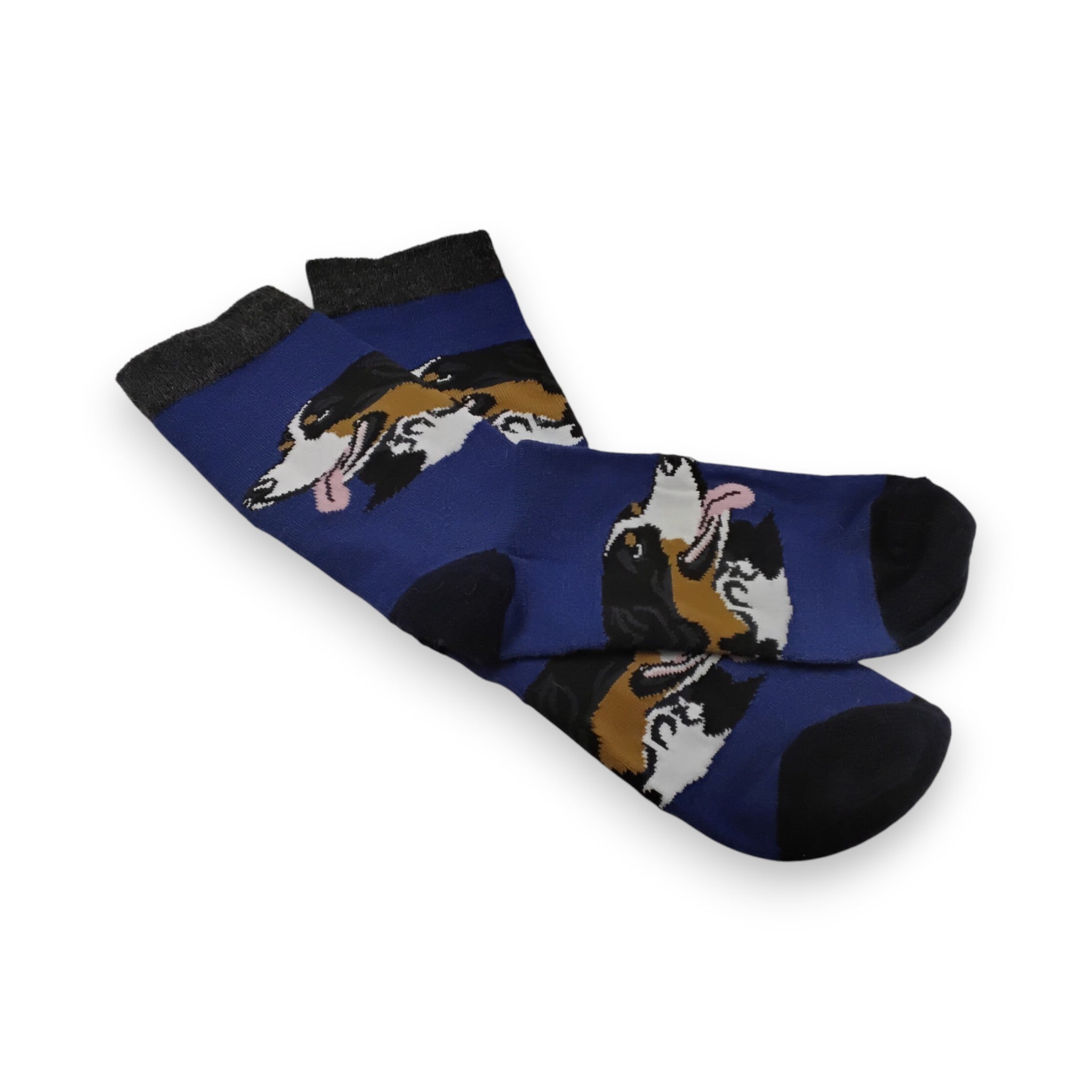 Bernese Mountain Dog Socks