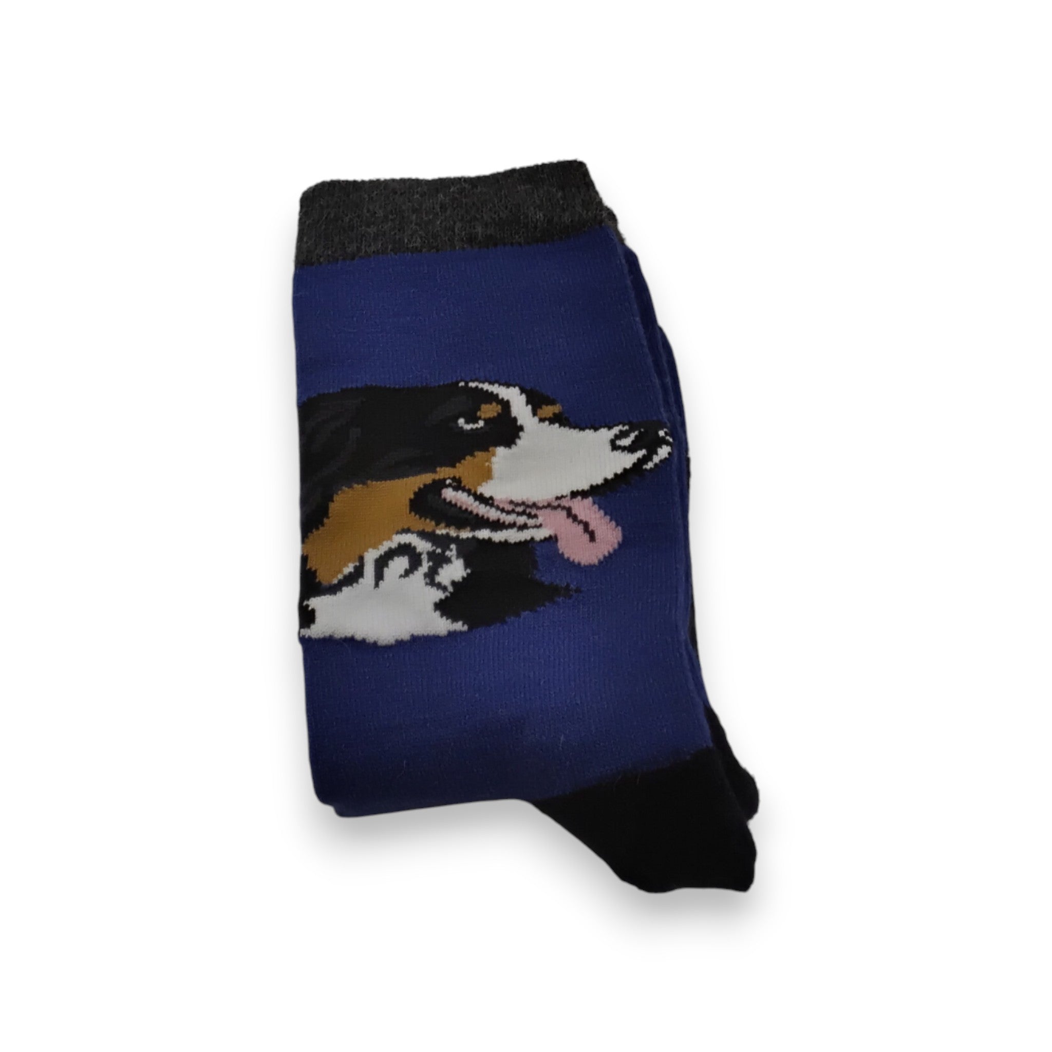 Bernese Mountain Dog Socks