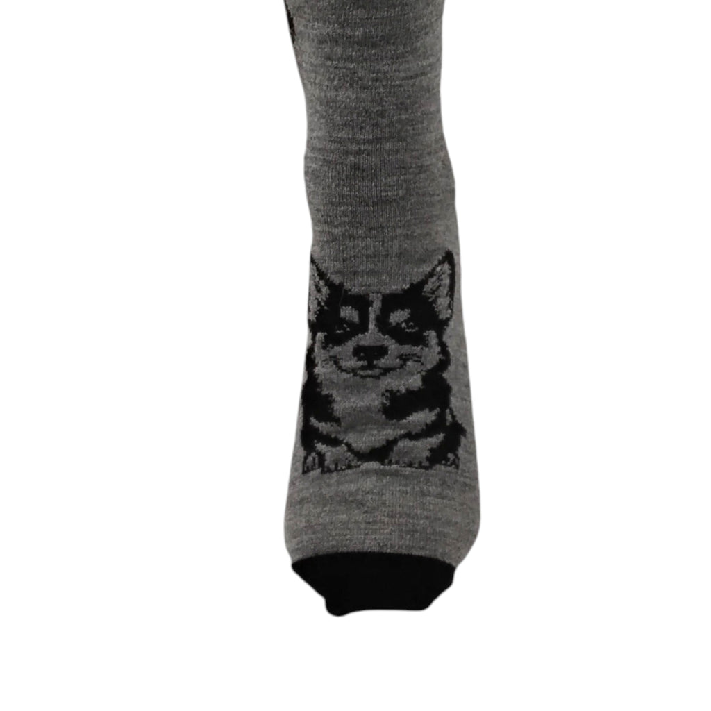 Corgi Dog Socks