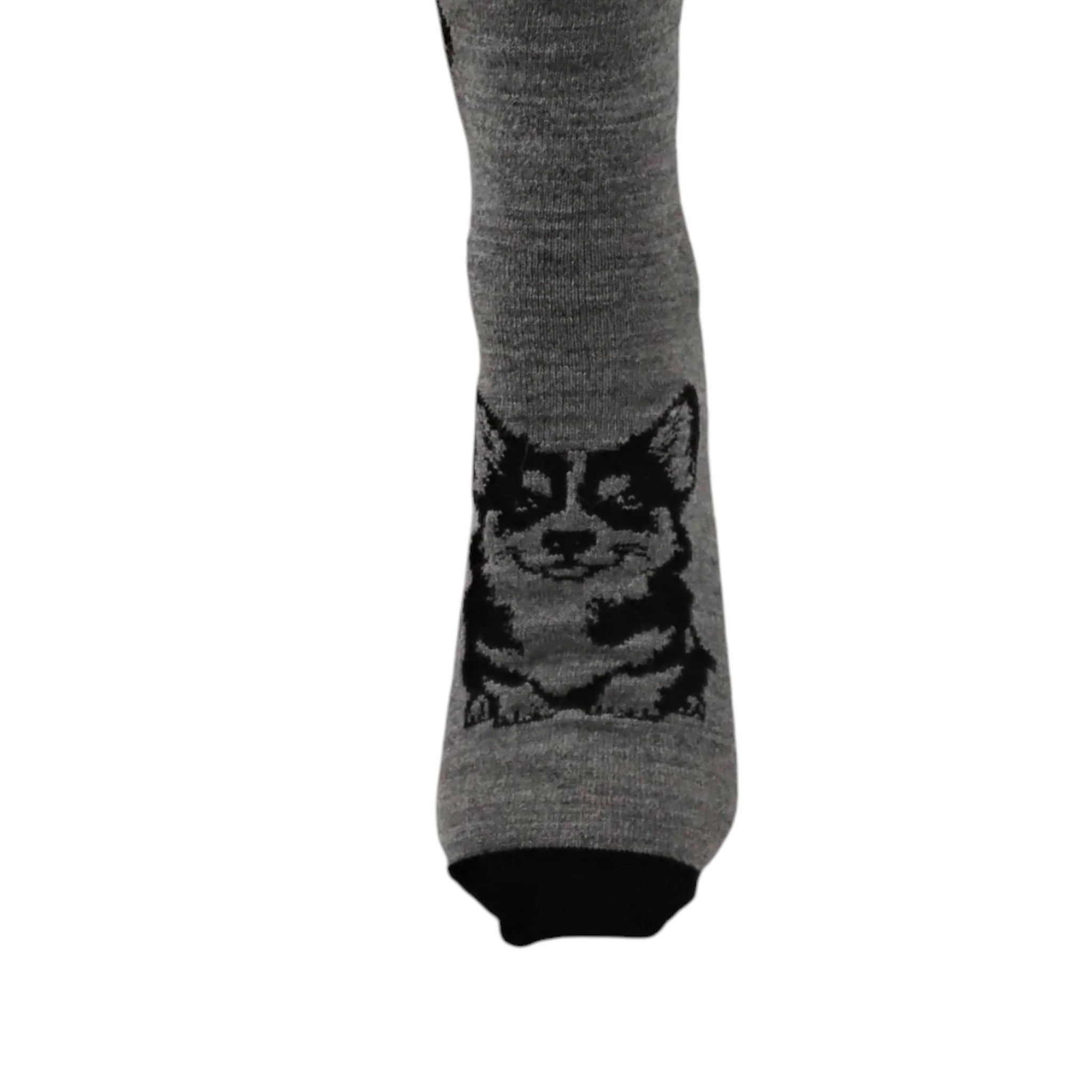 Corgi Dog Socks