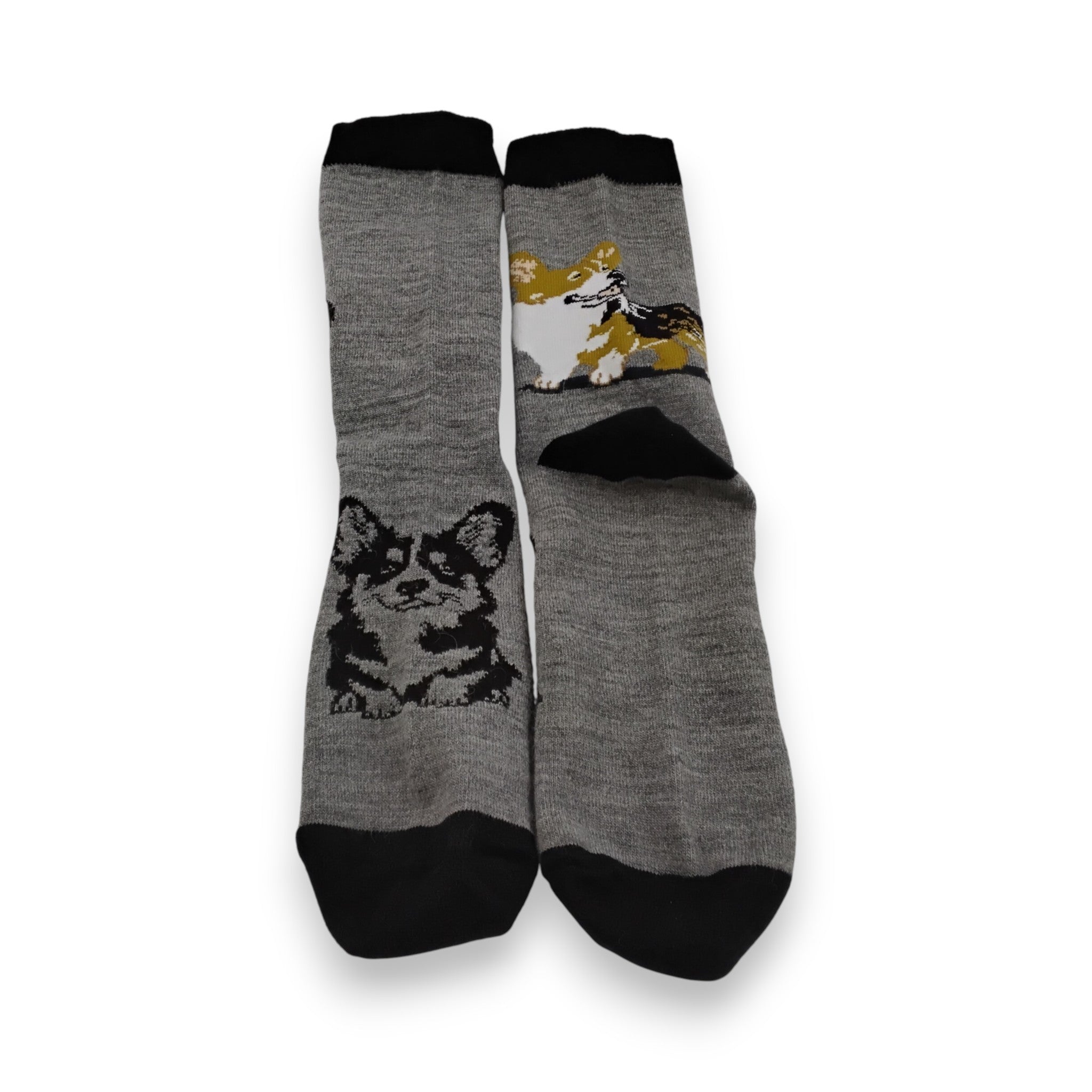 Corgi Dog Socks