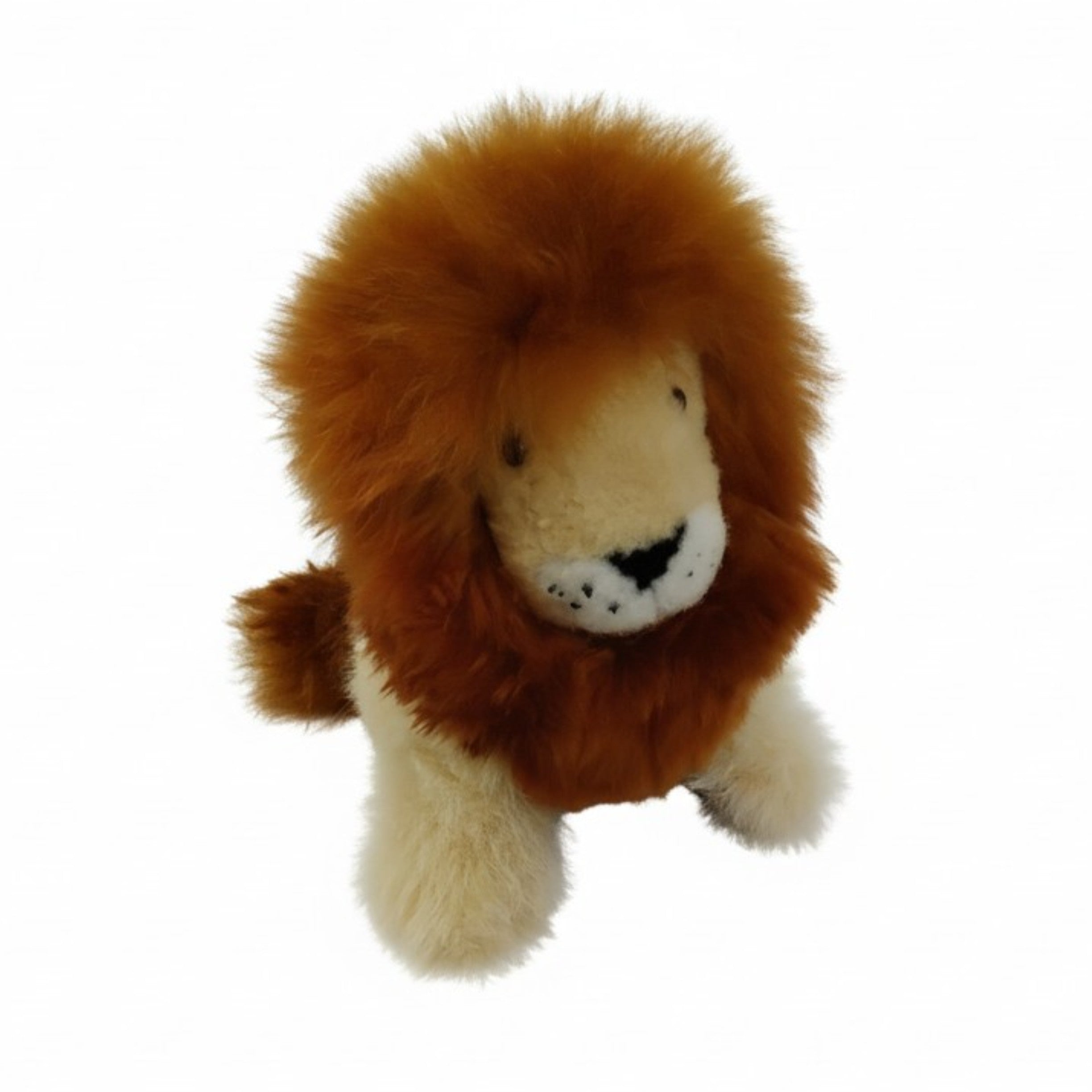 Medium Size Sitting Lion with Fluffy Mane