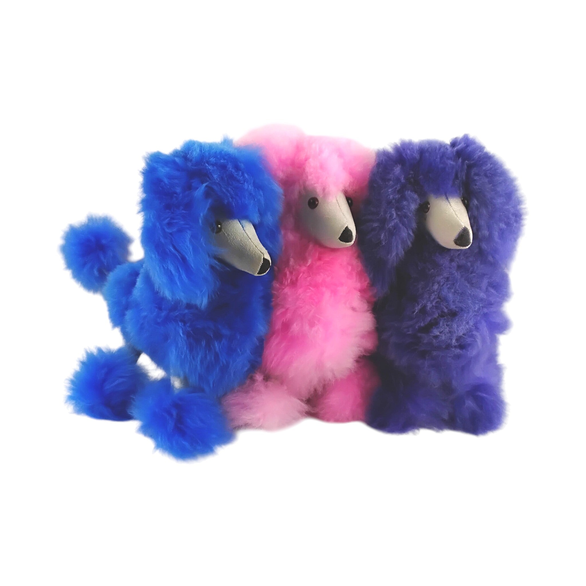 Poodle Plush Toy in Pretty Colors - Medium Size