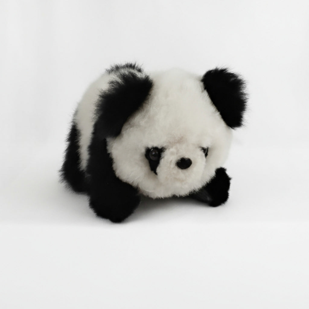 Medium Size Panda Bear