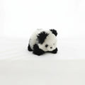 Small Panda Bear
