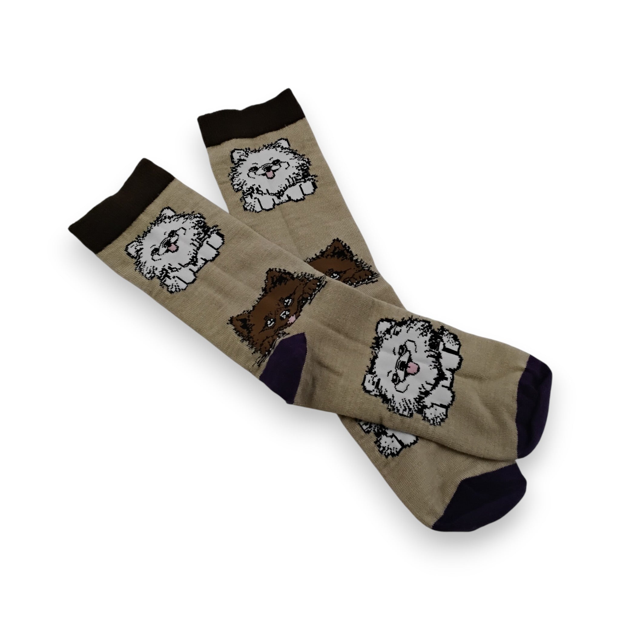 Pomeranian Socks