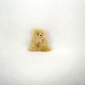Fluffy Little 3" Bear
