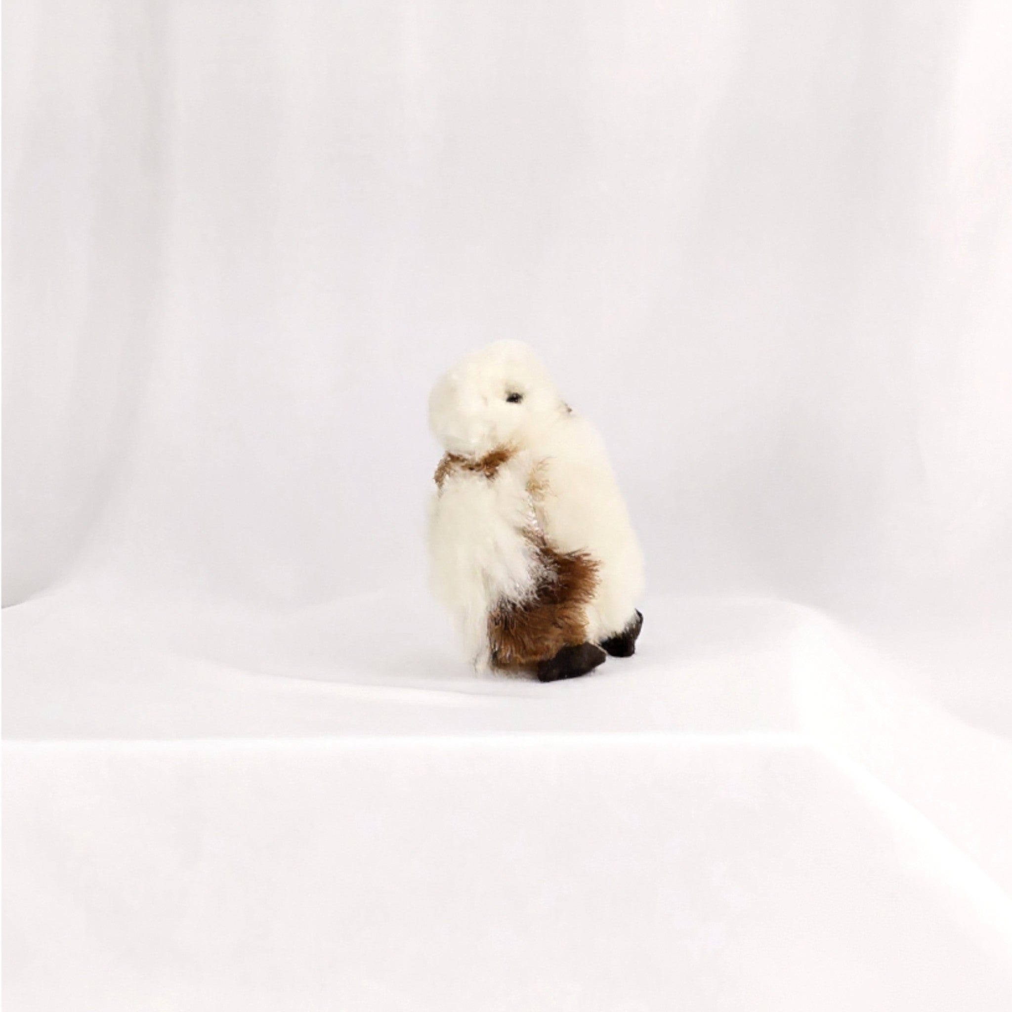 Tiny Owl Alpaca Stuffed Toy