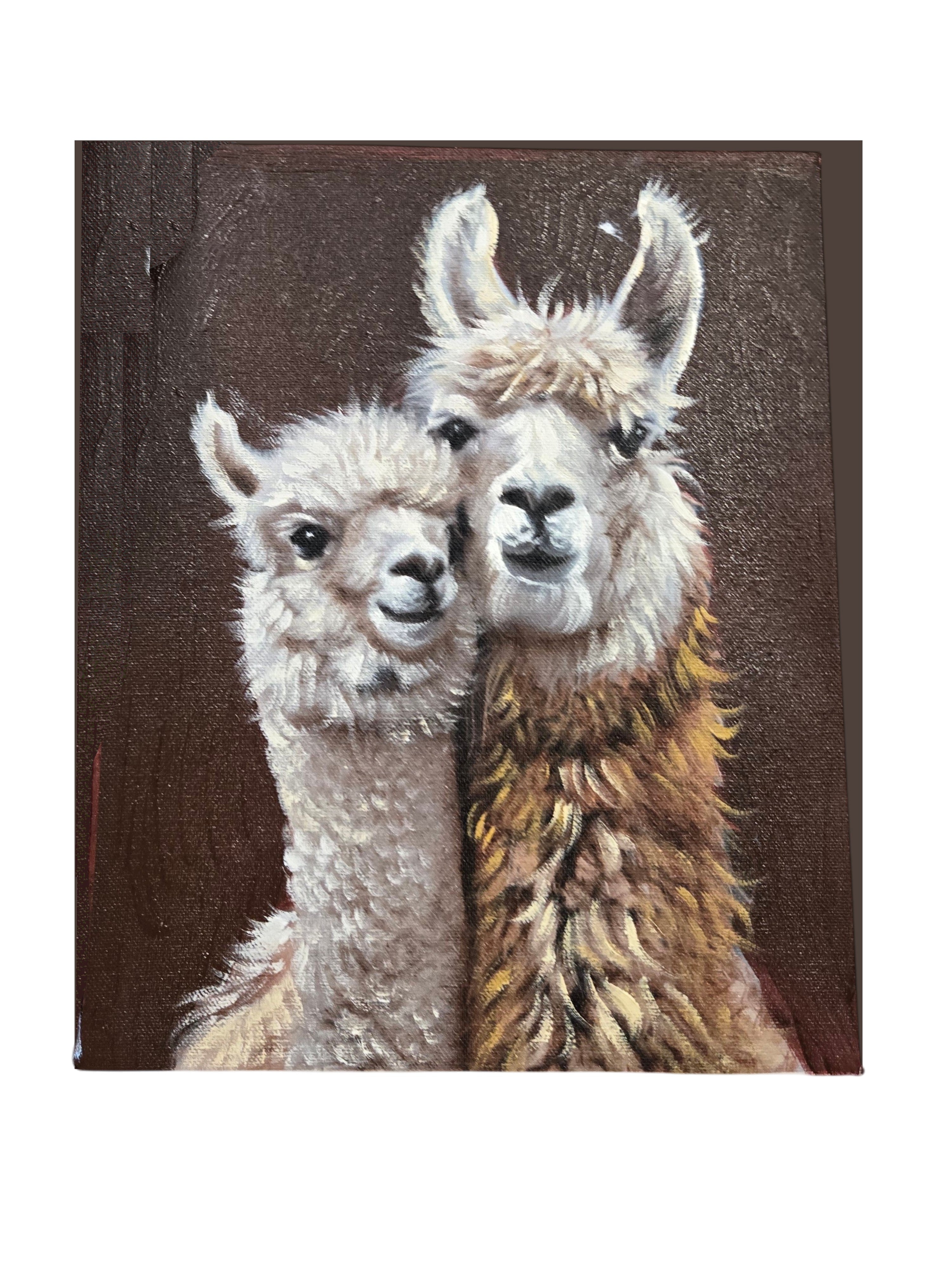 Alpaca Oil Painting 2 Alpacas