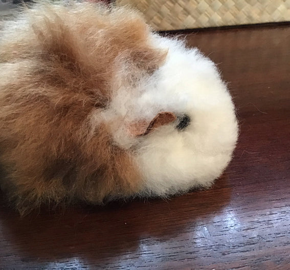 Alc Tiny G.Pig