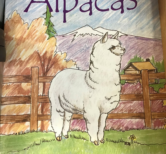 Alpacas Coloring Book