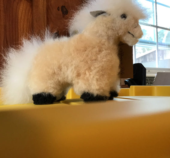 Alc Tiny Horse