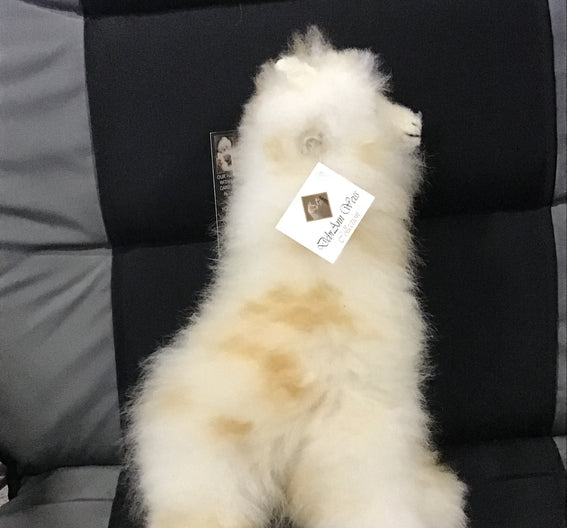 Pelt Giraffe