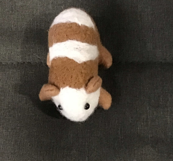 Calvin The Gpig
