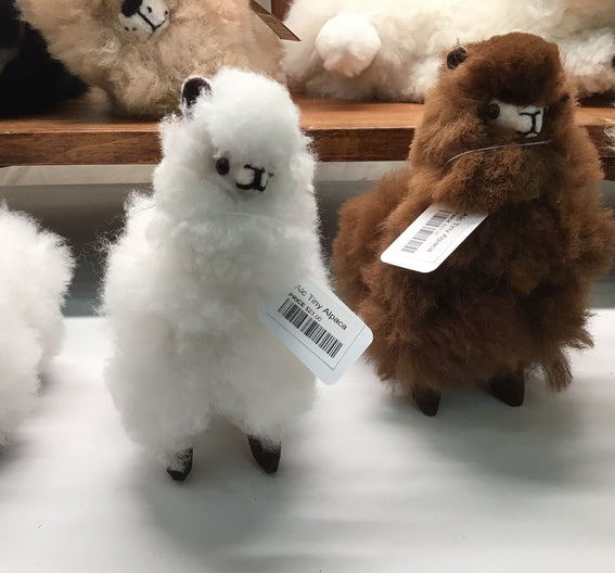 Alc Tiny Alpaca Grade A